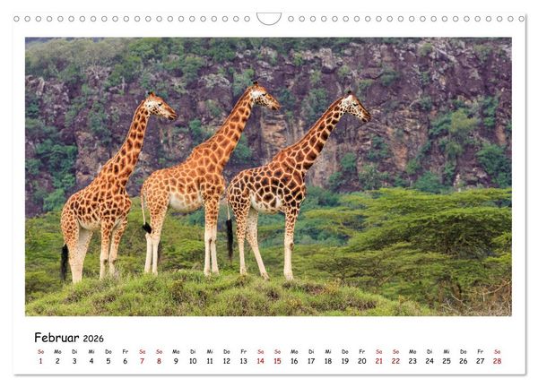 Produktbild: Tierparadies Kenia (Wandkalender 2026 DIN A3 quer), CALVENDO Monatskalender