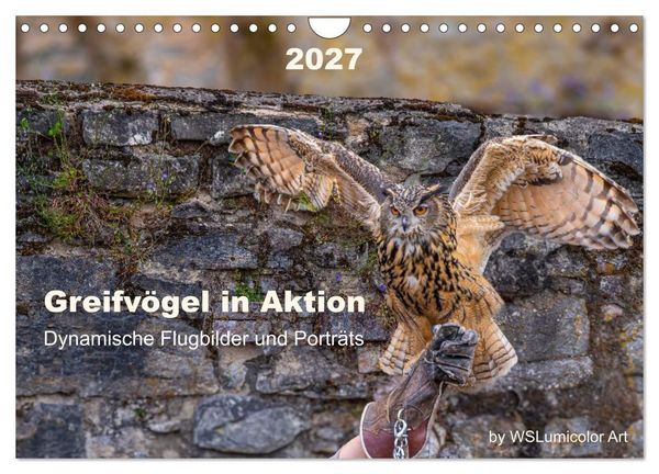 Produktbild: Greifv&ouml;gel in Aktion - Dynamische Flugbilder und Portr&auml;ts (Wandkalender 2027 DIN A4 quer), CALVENDO Monatskalender