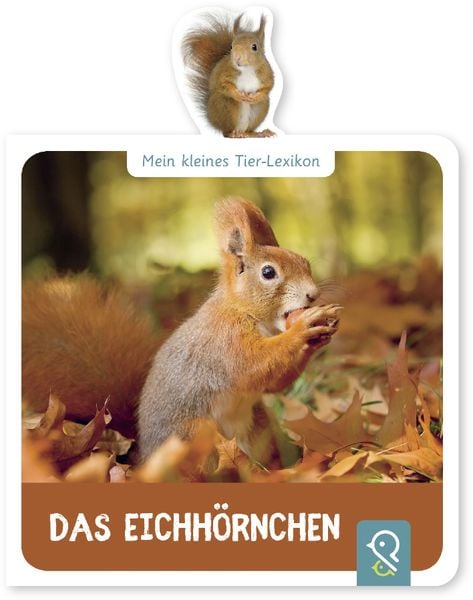 Das Eichhörnchen, Gebundene Ausgabe von Hannah Kastenhuber, Klein & groß Verlag, 978-3-946360-06-3