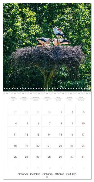 Produktbild: Whispers of Wings (Wall Calendar 2027 12 &times; 12 Inch) CALVENDO 12 Month Wall Calendar