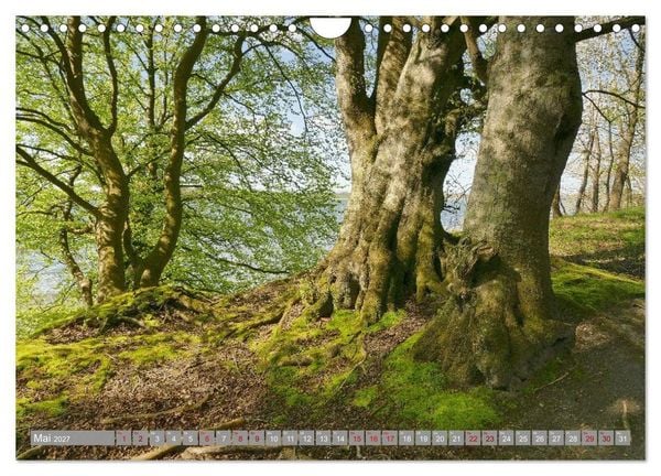 Produktbild: Am sch&ouml;nsten Uferabschnitt der Schlei (Wandkalender 2027 DIN A4 quer), CALVENDO Monatskalender