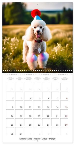 Produktbild: Kleemann, C: Dogs with matching hats (Wall Calendar 2026 12