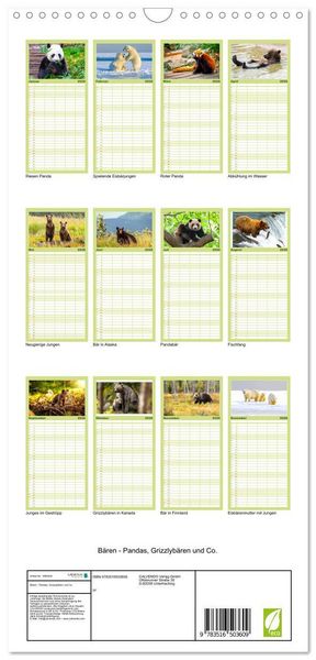 Produktbild: Familienplaner 2026 - B&auml;ren - Pandas, Grizzlyb&auml;ren und Co. mit 5 Spalten (Wandkalender, 21 x 45 cm) CALVENDO