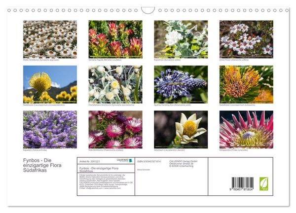 Produktbild: Fynbos - Die einzigartige Flora S&uuml;dafrikas (Wandkalender 2026 DIN A3 quer), CALVENDO Monatskalender