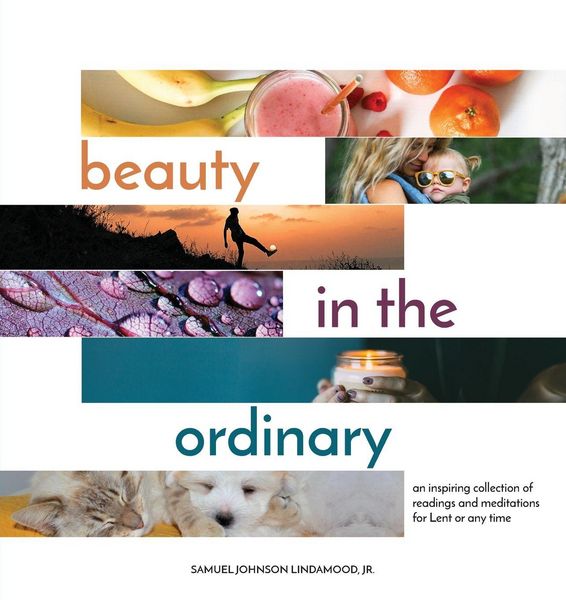 Produktbild: Beauty in the Ordinary