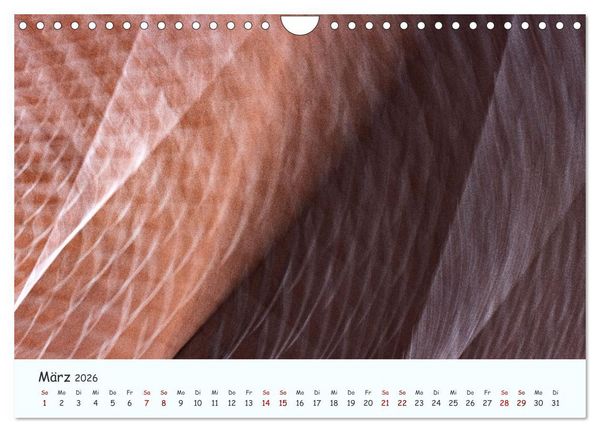 Produktbild: Farbgrafik - Die Sch&ouml;nheit der abstrakten Fotografie (Wandkalender 2026 DIN A4 quer), CALVENDO Monatskalender