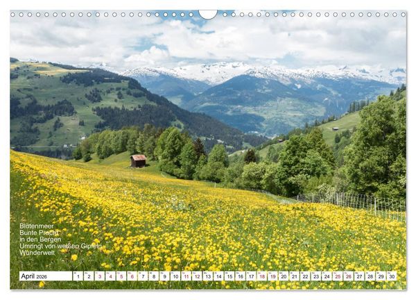 Produktbild: Mit Elfchen durch das Jahr (Wandkalender 2026 DIN A3 quer), CALVENDO Monatskalender