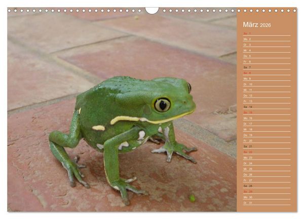 Produktbild: Bilder aus dem Chaco in Paraguay (Wandkalender 2026 DIN A3 quer), CALVENDO Monatskalender