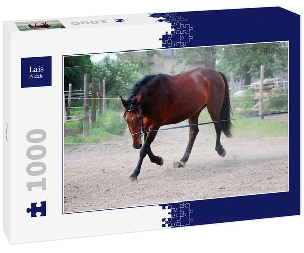 Produktbild: Lais Puzzle Pferd 1000 Teile
