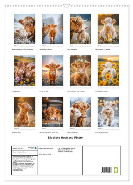 Produktbild: Niedliche Hochland Rinder (Wandkalender 2026 DIN A2 hoch), CALVENDO Monatskalender