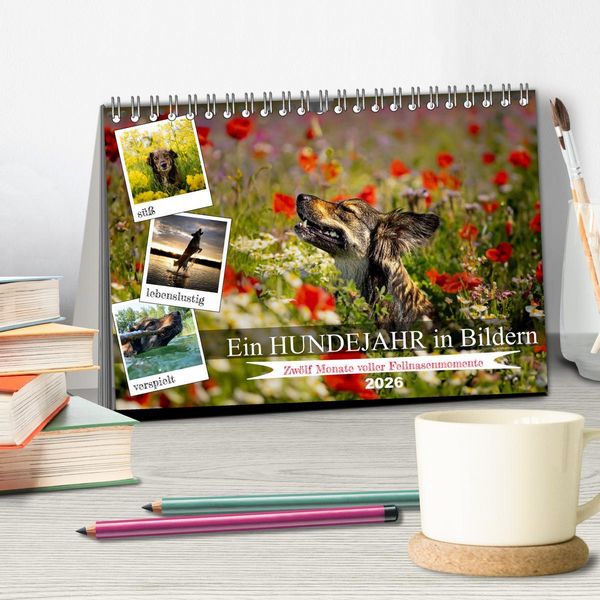 Produktbild: Ein Hundejahr in Bildern (Tischkalender 2026 DIN A5 quer), CALVENDO Monatskalender