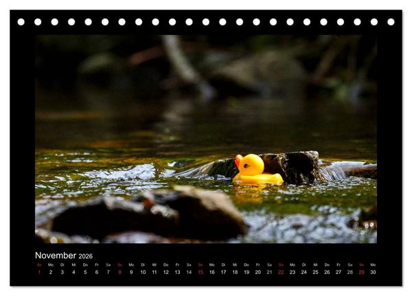 Produktbild: Enten-Rennen (Tischkalender 2026 DIN A5 quer), CALVENDO Monatskalender
