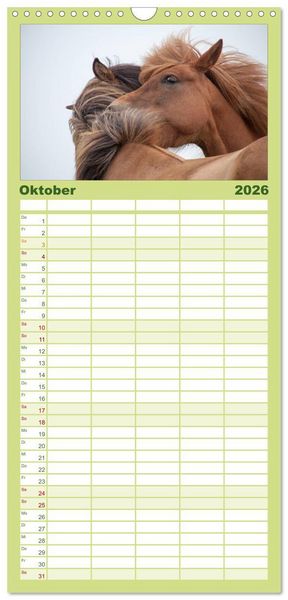 Produktbild: Familienplaner 2026 - Charakterk&ouml;pfe Islandpferde mit 5 Spalten (Wandkalender, 21 x 45 cm) CALVENDO