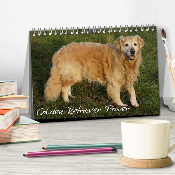 Produktbild: Golden Retriever Power (Tischkalender 2026 DIN A5 quer), CALVENDO Monatskalender