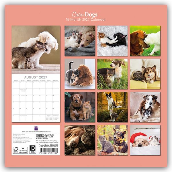 Produktbild: Cats and Dogs &ndash; Katzen und Hunde 2027 &ndash; 16-Monatskalender