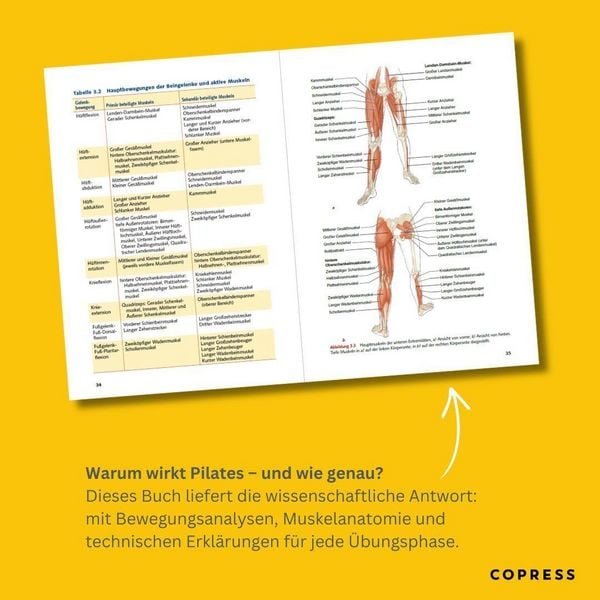 Produktbild: Pilates Anatomie
