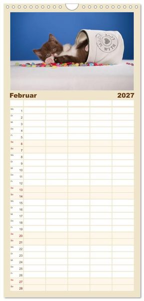 Produktbild: Familienplaner 2027 - Die Britisch Kurzhaar Katze mit 5 Spalten (Wandkalender, 21 x 45 cm) CALVENDO