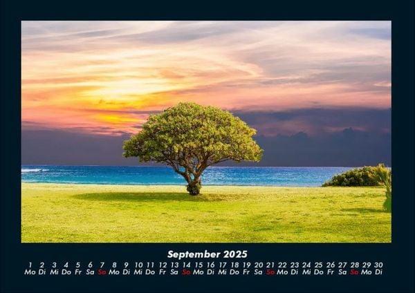 Produktbild: B&auml;ume 2025 Fotokalender DIN A4