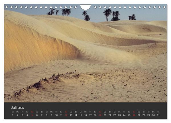 Produktbild: W&uuml;sten, wilde Sch&ouml;nheiten (Wandkalender 2026 DIN A4 quer), CALVENDO Monatskalender