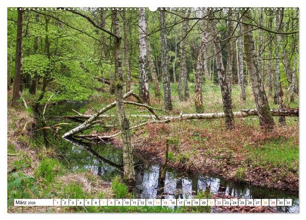 Produktbild: Fischland & Dar&szlig; Traumlandschaft an Ostsee und Bodden (hochwertiger Premium Wandkalender 2026 DIN A2 quer), Kunstdruck in Hochglanz