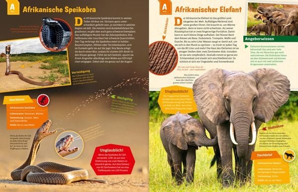 Produktbild: WAS IST WAS Geniale Tiere ... und ihre Tricks