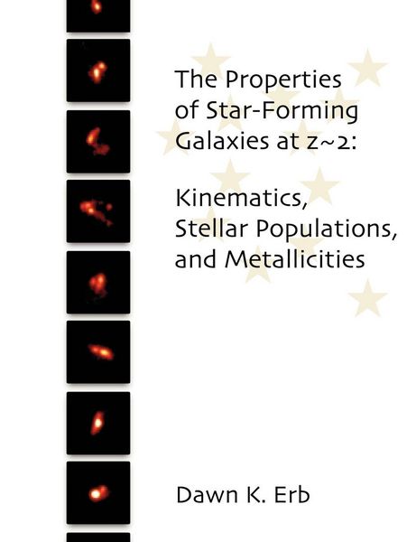 Produktbild: The Properties of Star-Forming Galaxies at z~2