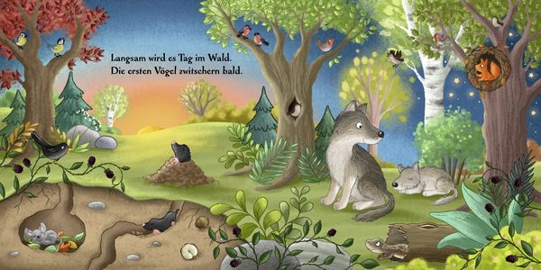 Produktbild: Es wird Tag hier im Wald