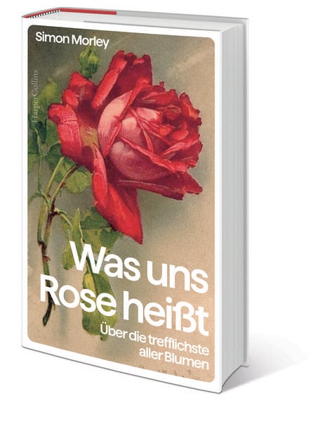 Produktbild: Was uns Rose hei&szlig;t. &Uuml;ber die trefflichste aller Blumen