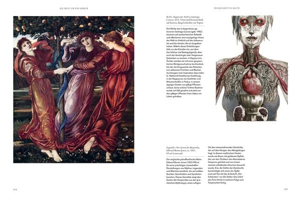 Produktbild: Die Kunst des Dunklen