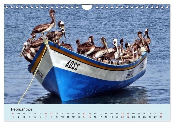 Produktbild: Venezuela - Natur pur Orinoco Delta und die Anden (Wandkalender 2026 DIN A4 quer), CALVENDO Monatskalender
