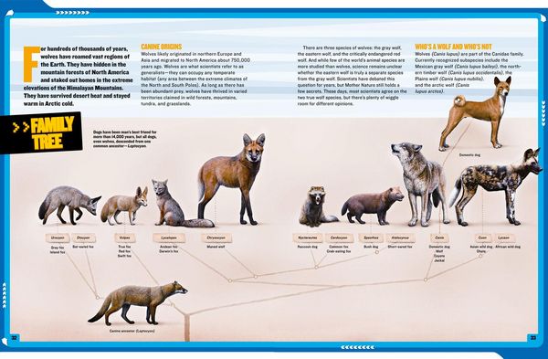 Produktbild: Mission: Wolf Rescue