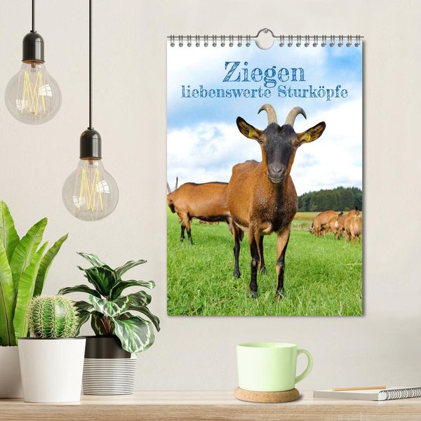 Produktbild: Ziegen - liebenswerte Sturk&ouml;pfe (Wandkalender 2026 DIN A4 hoch), CALVENDO Monatskalender