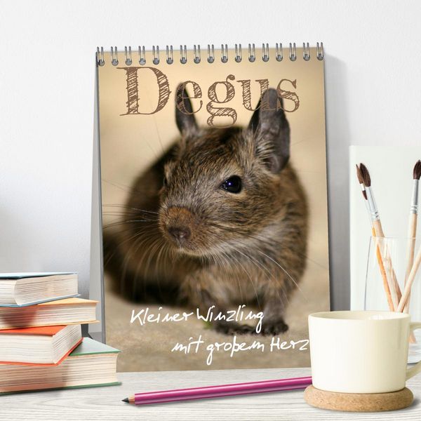 Produktbild: Degus - Winzlinge mit gro&szlig;em Herz (Tischkalender 2026 DIN A5 hoch), CALVENDO Monatskalender