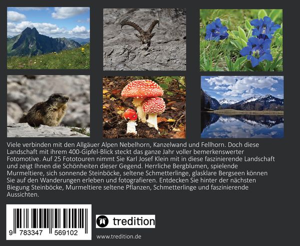 Produktbild: Faszination Allg&auml;uer Alpen