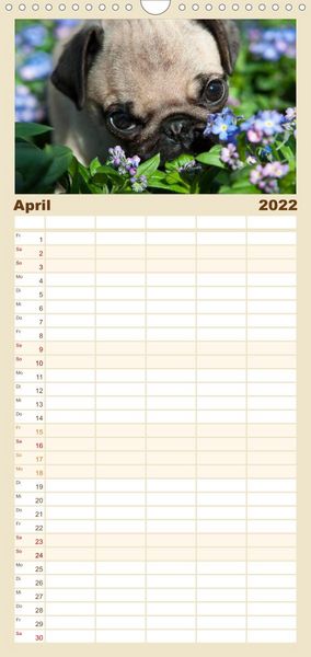 Produktbild: Mops - Familienplaner hoch (Wandkalender 2022 , 21 cm x 45 cm, hoch)