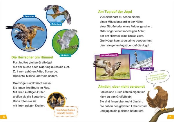 Produktbild: WAS IST WAS Erstes Lesen Band 18. Greifv&ouml;gel