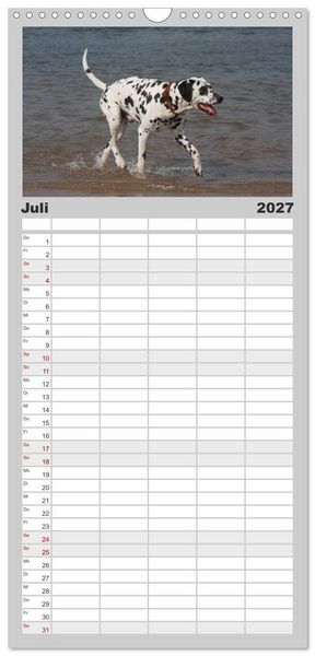 Produktbild: Familienplaner 2027 - Gefleckte Freunde - Hunderasse Dalmatiner mit 5 Spalten (Wandkalender, 21 x 45 cm) CALVENDO