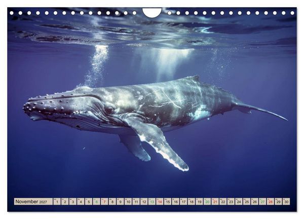 Produktbild: Gro&szlig;tiere - Weltweit (Wandkalender 2027 DIN A4 quer), CALVENDO Monatskalender