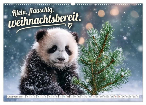 Produktbild: Pandas mit Flausen im Kopf (Wandkalender 2027 DIN A2 quer), CALVENDO Monatskalender