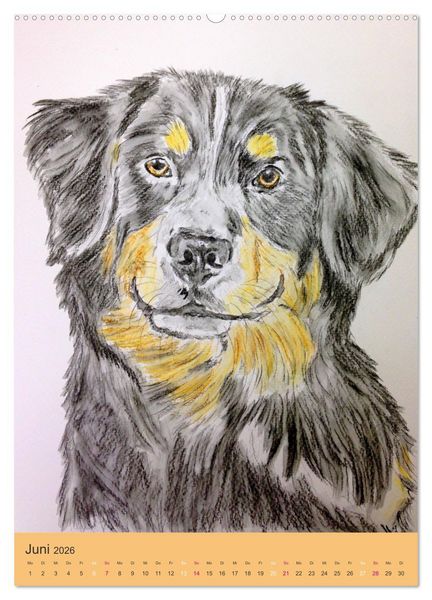 Produktbild: Hunde - Bezaubernde Portraitzeichnungen (Wandkalender 2026 DIN A2 hoch), CALVENDO Monatskalender