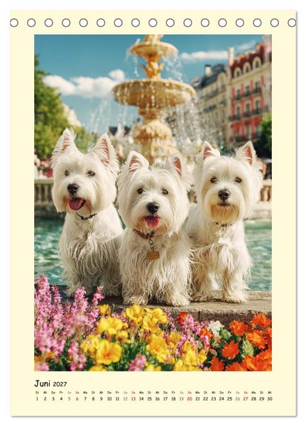 Produktbild: S&uuml;&szlig;er Wuschelkopf. West Highland White Terrier Momente (Tischkalender 2027 DIN A5 hoch), CALVENDO Monatskalender