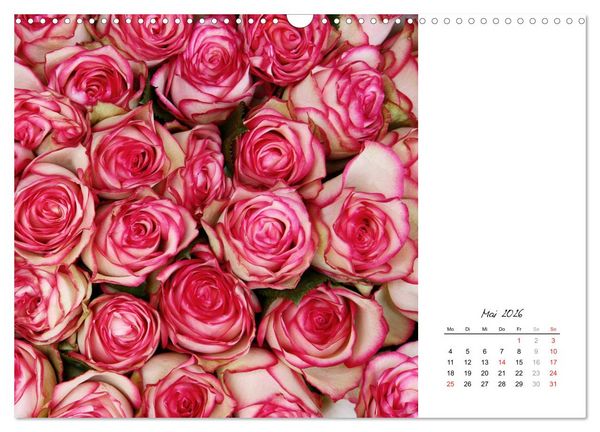 Produktbild: Die vielen Gesichter der Rosen (Wandkalender 2026 DIN A3 quer), CALVENDO Monatskalender