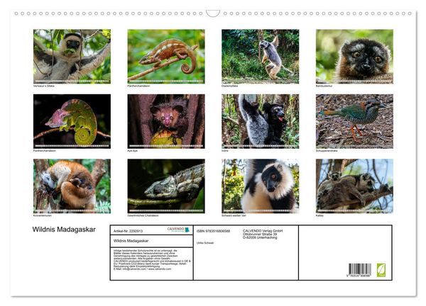 Produktbild: Wildnis Madagaskar (Wandkalender 2027 DIN A2 quer), CALVENDO Monatskalender