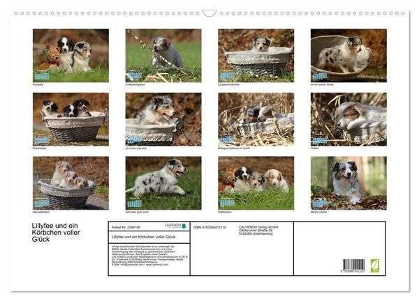 Produktbild: Lillyfee und ein K&ouml;rbchen voller Gl&uuml;ck (Wandkalender 2027 DIN A2 quer), CALVENDO Monatskalender