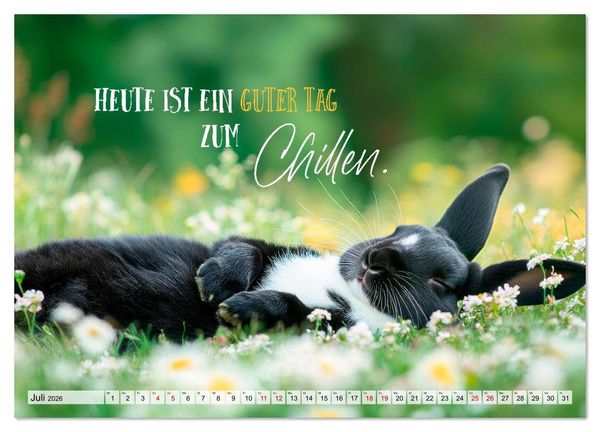 Produktbild: KANINCHEN Mit Humor durchs Jahr (Wandkalender 2026 DIN A3 quer), CALVENDO Monatskalender