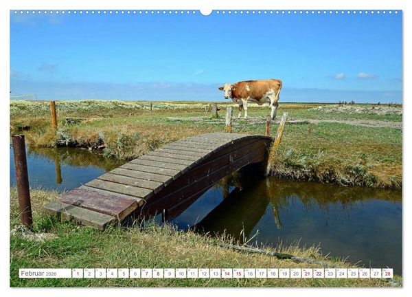 Produktbild: Sommertage auf Hallig Hooge (Wandkalender 2026 DIN A2 quer), CALVENDO Monatskalender