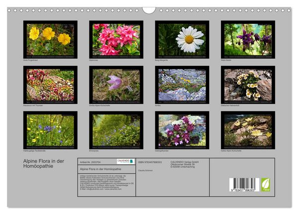 Produktbild: Alpine Flora in der Hom&ouml;opathie (Wandkalender 2026 DIN A3 quer), CALVENDO Monatskalender