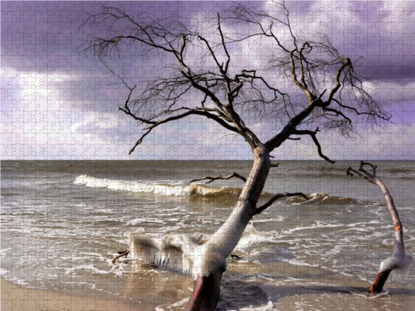 Produktbild: CALVENDO Puzzle Der Winter ist ein K&uuml;nstler 2000 Teile Lege-Gr&ouml;&szlig;e 90 x 67 cm Foto-Puzzle Bild von Renate Grobelnx