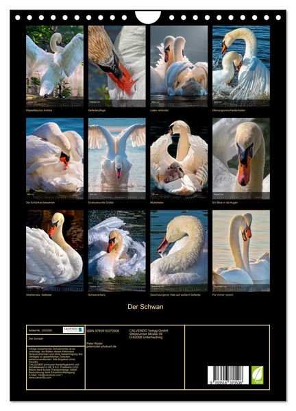 Produktbild: Der Schwan (Wandkalender 2026 DIN A4 hoch), CALVENDO Monatskalender