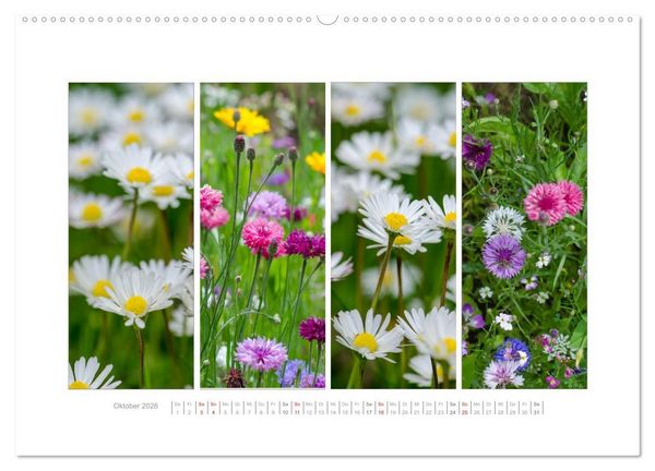 Produktbild: Gartenfreude (Wandkalender 2026 DIN A2 quer), CALVENDO Monatskalender